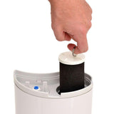 Drinking Water and System Counter Top Filtration in Chrome Dispenser