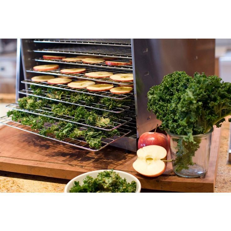 Pro 1000 Stainless Steel 10-Tray Food Dehydrator