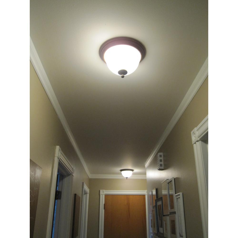 120-Watt Equivalent Circline T9 Non-Dimmable 4-Pin Base Compact Fluorescent CFL 9 in Light Bulb, Cool White 4100K - Super Arbor