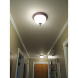 120-Watt Equivalent Circline T9 Non-Dimmable 4-Pin Base Compact Fluorescent CFL 9 in Light Bulb, Cool White 4100K - Super Arbor