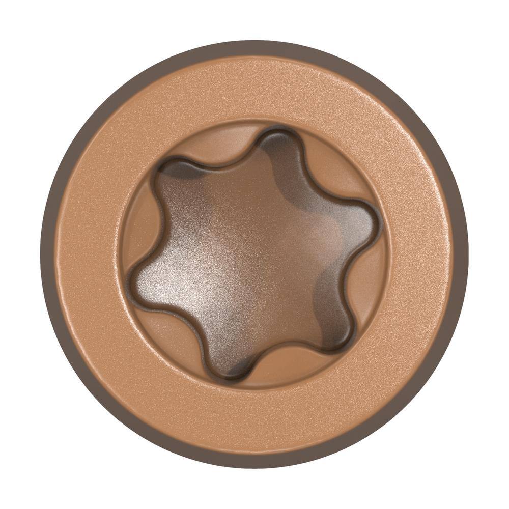 CAMO #10 2-1/2 in. 316 Stainless Steel Composite Cedar Premium Star Drive Flat Undercut Screws (350-Count)