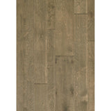 Shaw Legacy Caravan Birch 3/8 In. T X 7 in. W Tongue and Groove Hand Scraped Engineered Hardwood Flooring (44.29 sq.ft./case)