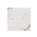 MSI Carrara 24 in. x 24 in. Polished Porcelain Floor and Wall Tile (28 cases / 448 sq. ft. / pallet)