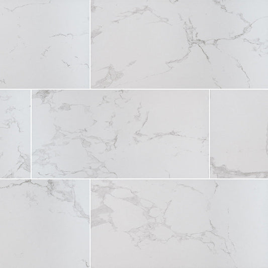 MSI Praia Carrara 24 in. x 48 in. Polished Porcelain Floor and Wall Tile (7 cases/112 sq. ft./pallet)