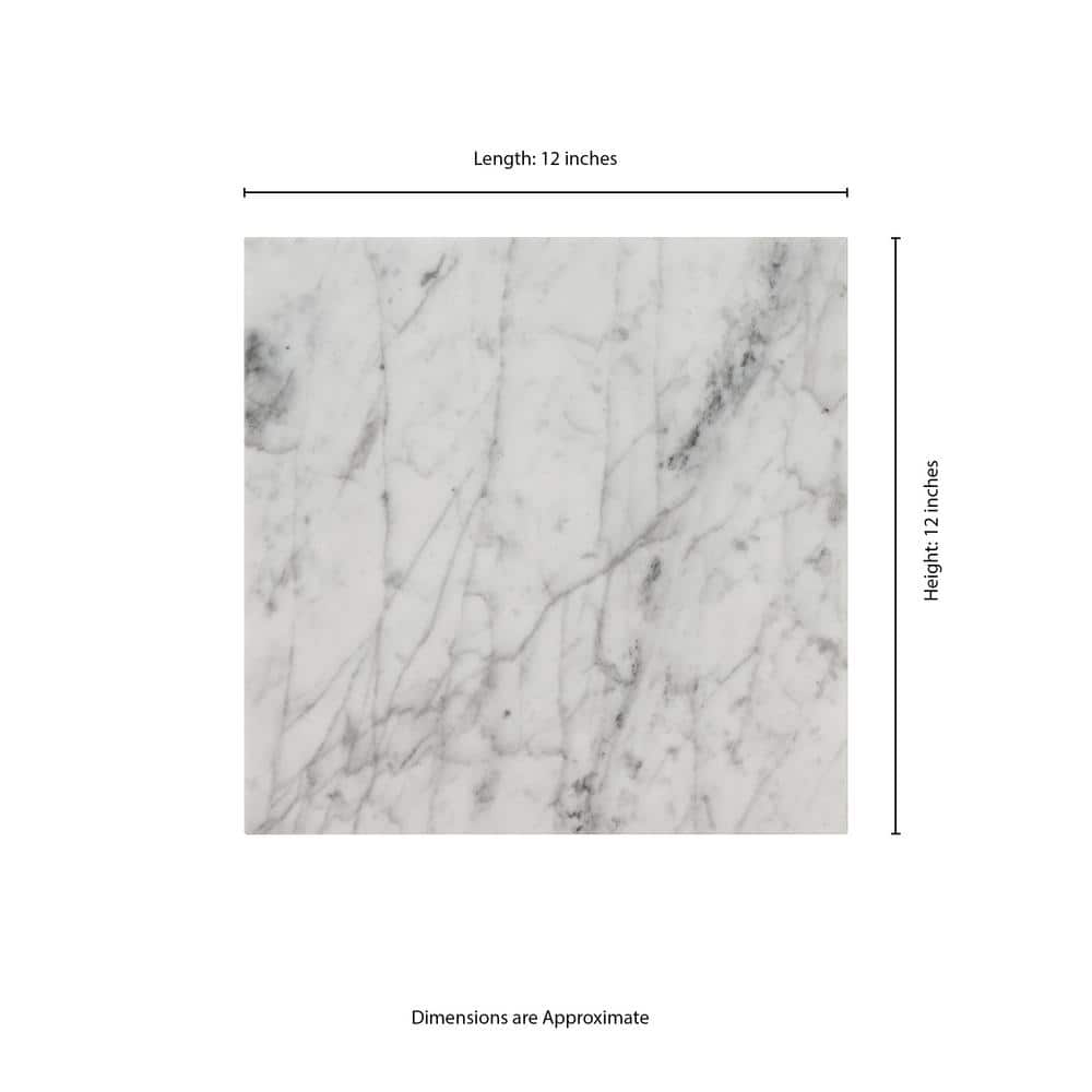 MS International Bianco Carrara 12 x 12 Marble Floor and Wall Tile
