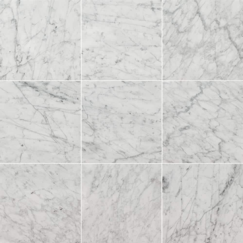 MS International Bianco Carrara 12 x 12 Marble Floor and Wall Tile