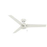 Hunter Cassius 52-in Premier Bronze Indoor/Outdoor Ceiling Fan (3-Blade)