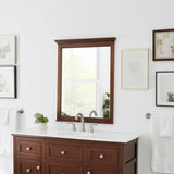 Home Decorators Collection Mahogany Bathroom Vanity Mirror - 24x31