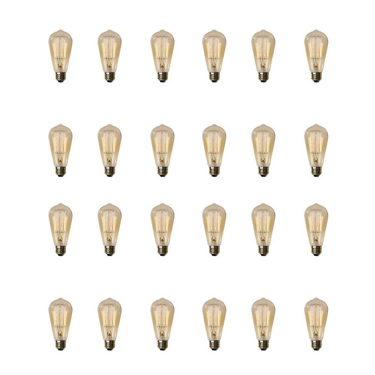 Feit Electric 60-Watt ST19 Dimmable Incandescent Amber Glass Vintage Edison Light Bulb with Cage Filament Soft White (24-Pack)