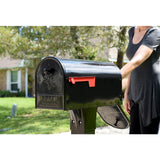 Outback Double Door, Large, Steel, Post Mount Mailbox, Black - Super Arbor