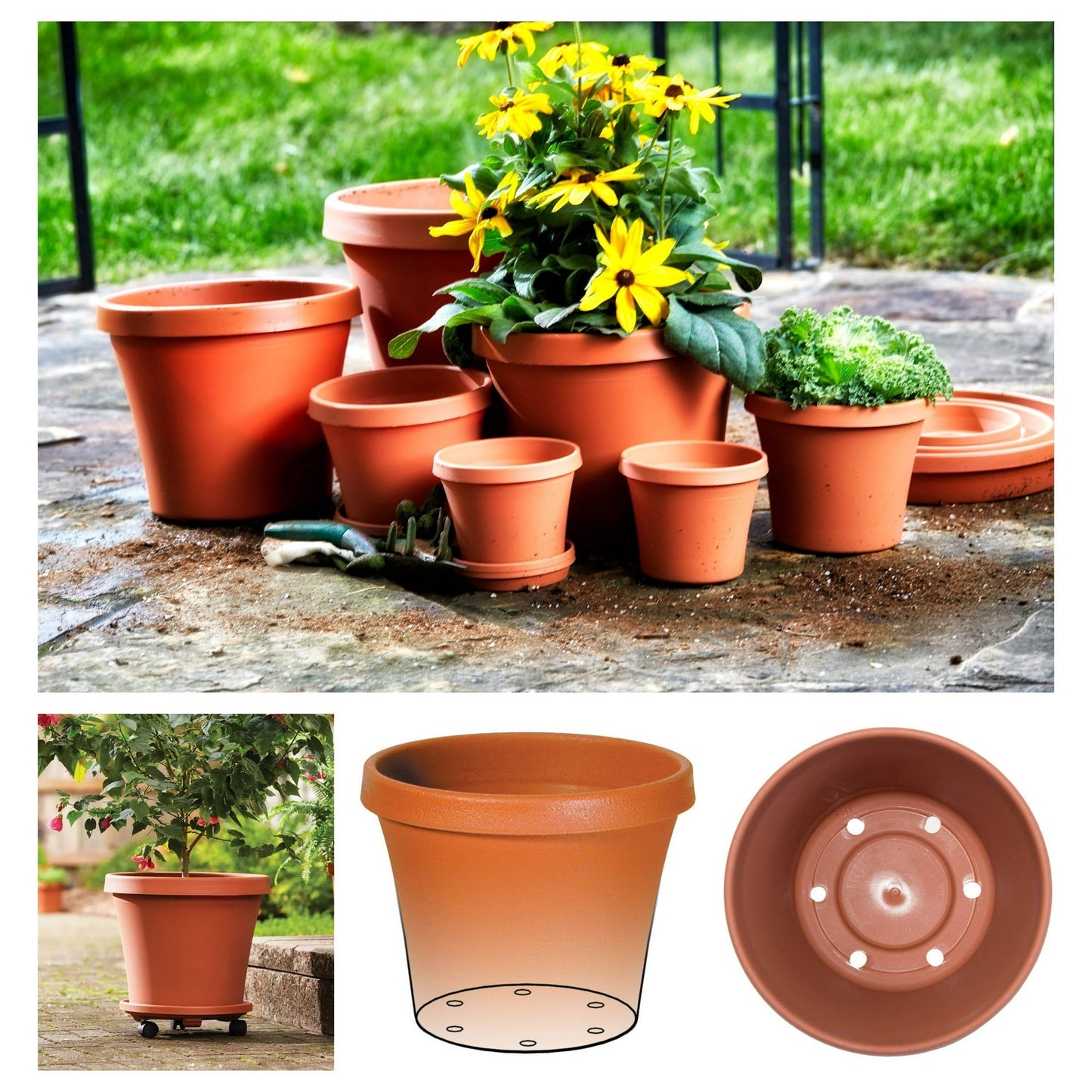 Bloem Terra Pot Planter 8" Terra Cotta