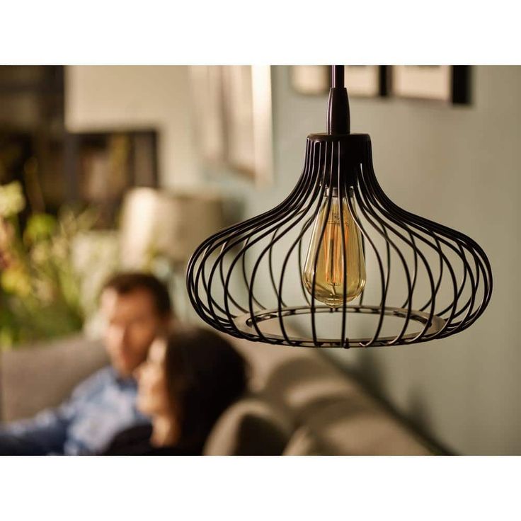 Philips 40-Watt Equivalent ST19 Dimmable Vintage Glass Edison LED Light Bulb Amber Warm White (2000K) (1-Bulb)