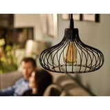 Philips 40-Watt Equivalent ST19 Dimmable Vintage Glass Edison LED Light Bulb Amber Warm White (2000K) (1-Bulb)