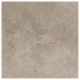 Hastings Gray 12 in. x 12 in. Porcelain Floor and Wall Tile (555.56 sq. ft. / pallet) - Super Arbor