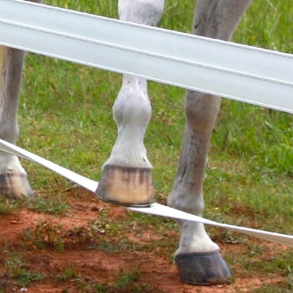 CenFlex 5 in. x 330 ft. Black Flexible Rail Horse Fence