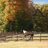 CenFlex 5 in. x 660 ft. Brown Flexible Rail Horse Fence