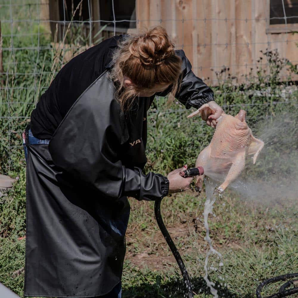 Electric Yardbird Chicken Plucker