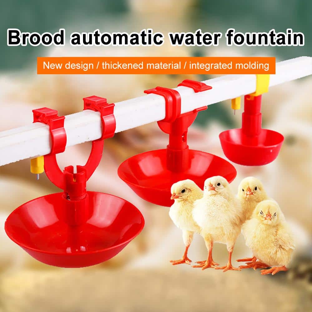 4.52 in. DIA 5.15 in. H, Poultry Waterer Thickened Chicken Drinking Bowl Water Feeder Kit (5-Pack)