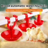 4.52 in. DIA 5.15 in. H, Poultry Waterer Thickened Chicken Drinking Bowl Water Feeder Kit (5-Pack)