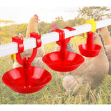 4.52 in. DIA 5.15 in. H, Poultry Waterer Thickened Chicken Drinking Bowl Water Feeder Kit (5-Pack)