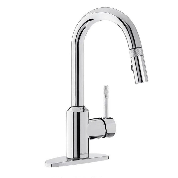 Glacier Bay 2600 Series Single-Handle Pull Down Sprayer Laundry Faucet in Chrome