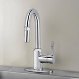 Glacier Bay 2600 Series Single-Handle Pull Down Sprayer Laundry Faucet in Chrome