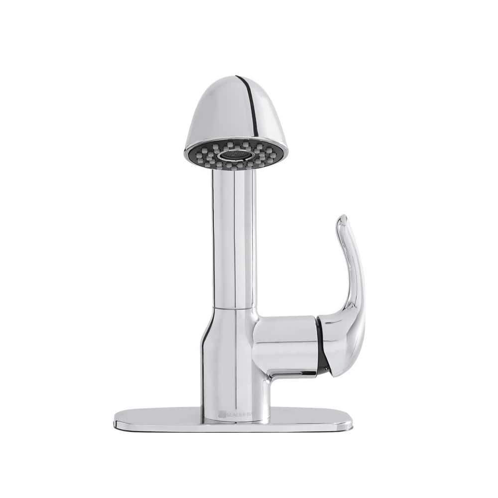 Glacier Bay Dunning Single-Handle Pull-Out Laundry Utility Faucet in Chrome
