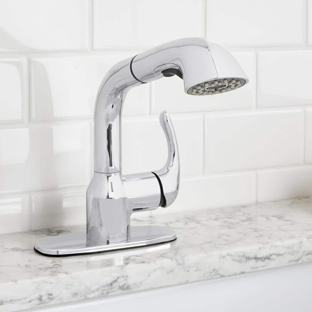 Glacier Bay Dunning Single-Handle Pull-Out Laundry Utility Faucet in Chrome