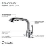 Glacier Bay Dunning Single-Handle Pull-Out Laundry Utility Faucet in Chrome