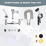 ARCORA Commercial Wall Mounted Double Handle Pet Grooming Faucet in Chrome