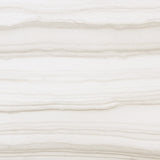 Emser Chronicle Memoir Porcelain Border Tile (12-in x 12-in)