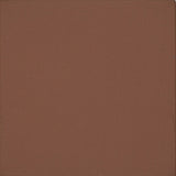American Olean Quarry Naturals Lava Red 8-in x 8-in Unglazed Ceramic Floor & Wall Tile (25-Pack)