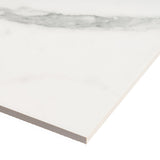 Tilebar Marmi Bianco Venato Matte Porcelain Tile 24x48