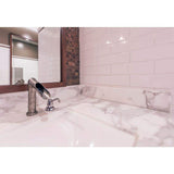 Custom Building Products Tile Repair Mortar White 1.5 lb.