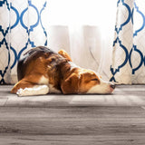 MSI Cyndya Grove 9.9 mm T x 7.72 in. W x 47.87 in. L Waterproof Laminate Flooring (17.92 sq. ft./case)