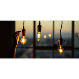 Feit Electric 40-Watt Equivalent AT19 Dimmable Amber Glass Vintage Edison LED Light Bulb with H Shape Filament Warm White (6-Pack)