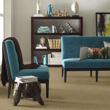 STAINMASTER PetProtect Baxter I Molly Textured Carpet (Indoor)