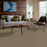 STAINMASTER PetProtect Baxter IV Dachshund Textured Carpet (Indoor)