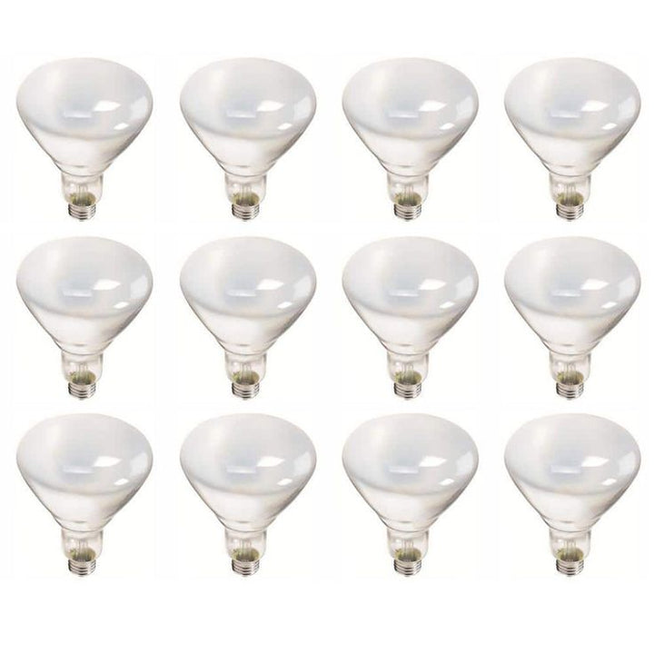 Philips 65-Watt BR40 Incandescent Flood Light Bulb Soft White (2700K) (12-Pack)