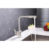 Single-Handle Pull Out Sprayer Kitchen Faucet in Polished Chrome - Super Arbor