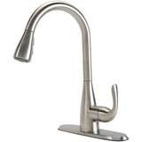 Carla Single-Handle Pull-Down Sprayer Kitchen Faucet in Stainless Steel - Super Arbor