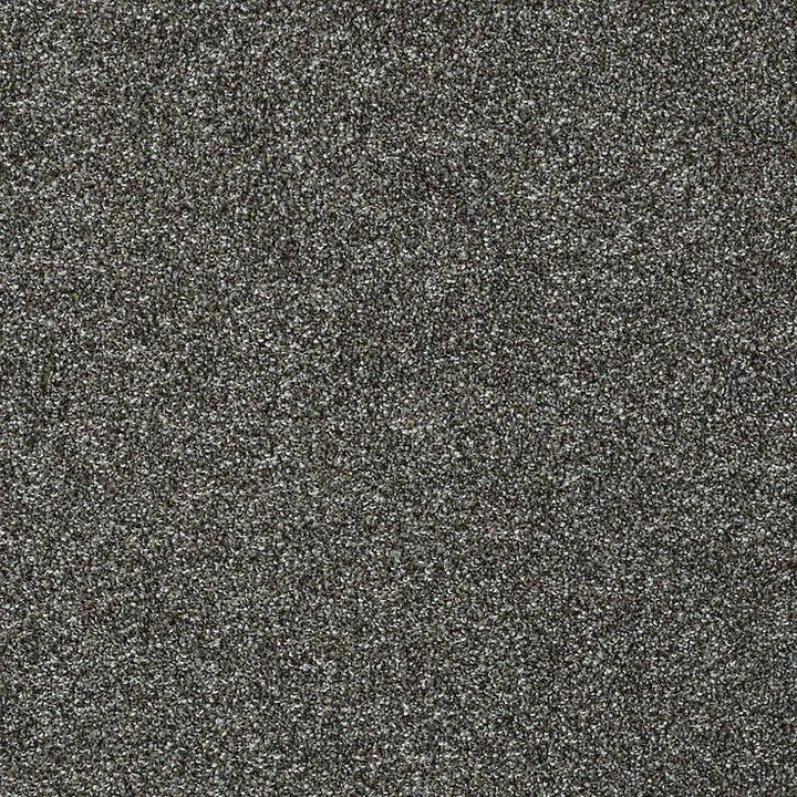 STAINMASTER PetProtect Baxter II Roll Over Textured Carpet (Indoor)