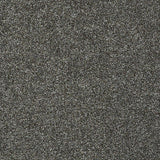 STAINMASTER PetProtect Baxter I Charlie Textured Carpet (Indoor)