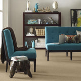 STAINMASTER PetProtect Baxter I Boxer Textured Carpet (Indoor)
