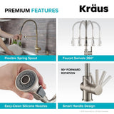 Britt Single-Handle Pull Down Sprayer Kitchen Faucet in Brushed Gold - Super Arbor