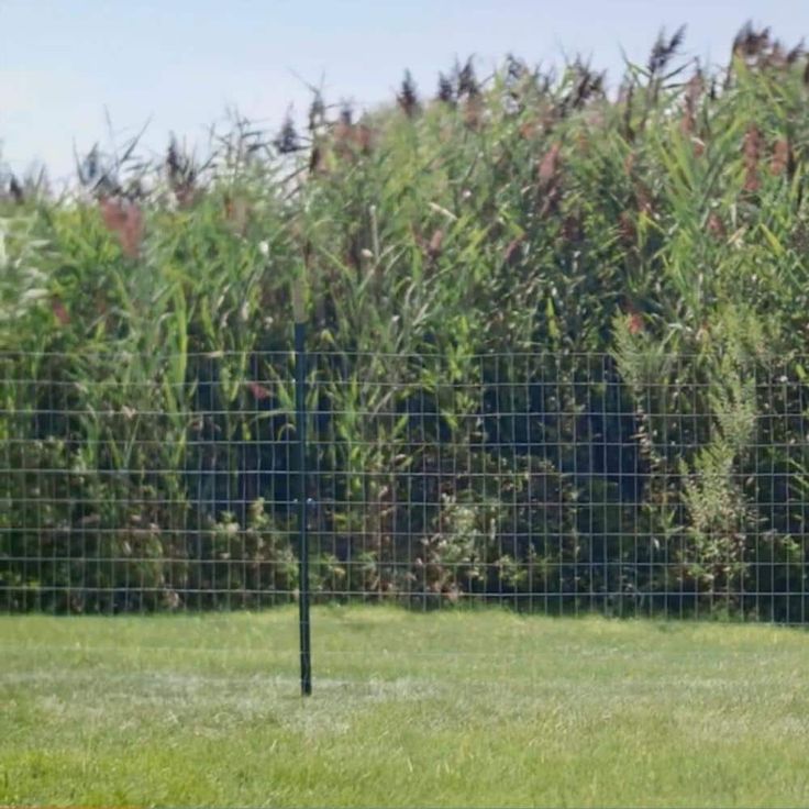 Everbilt 1-3/4 in. x 3-1/2 in. x 7 ft. Green Steel Fence T-Post with Anchor Plate
