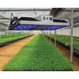 GrowElite Brushed Nickel Integrated LED 500-Watt High Output Indoor Grow Light Daylight 1000-Watt HID Replacement - Super Arbor