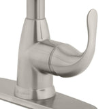 Dylan Single-Handle Pull-Down Kitchen Faucet with TurboSpray and FastMount in Stainless Steel - Super Arbor
