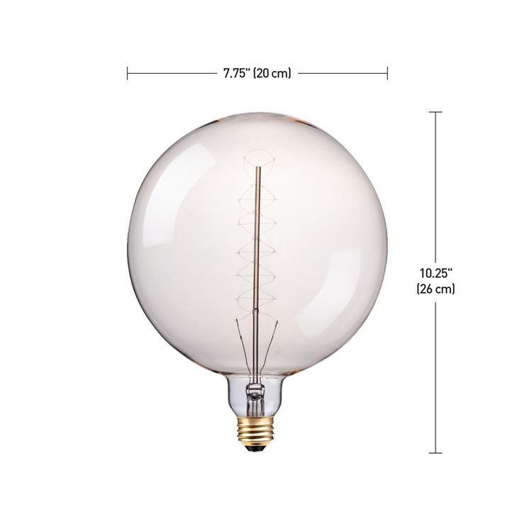 Globe Electric 100-Watt G200 Oversized Vintage Incandescent Light Bulb