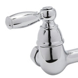 Choice 2-Handle Wall Mount Kitchen Faucet in Chrome - Super Arbor